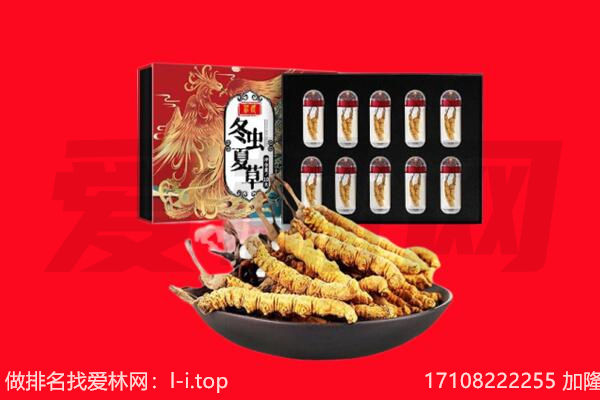 林芝工布江达县回收虫草.jpg